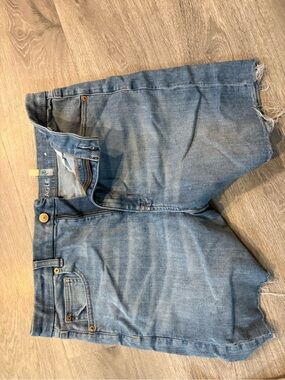 American Eagle Outfitters Light Blue Denim Shorts